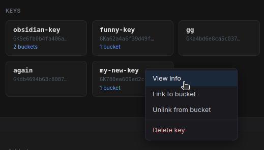 context menu for clicking on a key, mouse hovers 'View info'