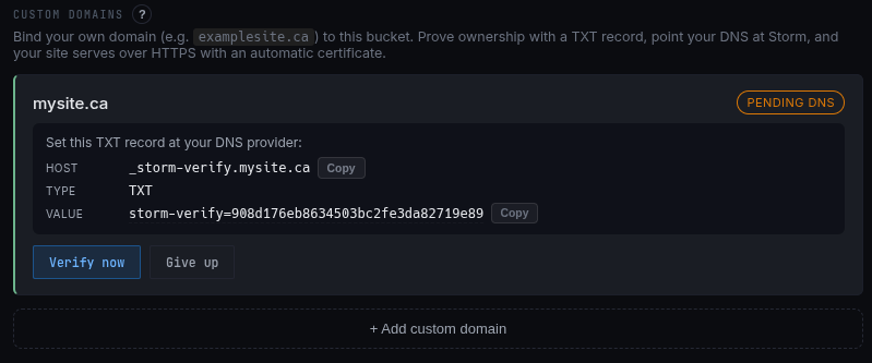 A claimed custom domain in Pending DNS state, showing the TXT record block with Host, Type, and Value, plus the Verify now and Give up buttons