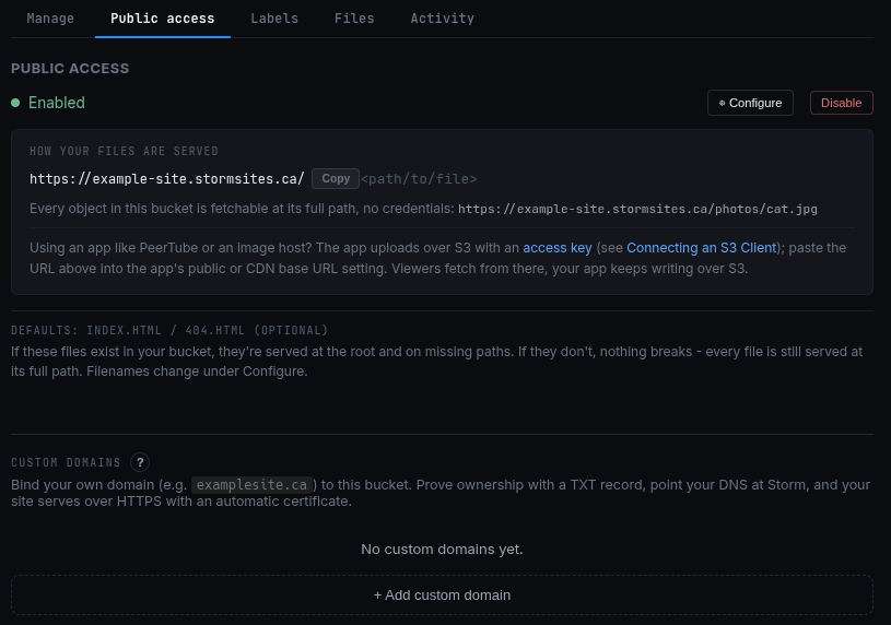 The Public access tab in its enabled state, showing the serving URL, the app note, and the Custom domains section