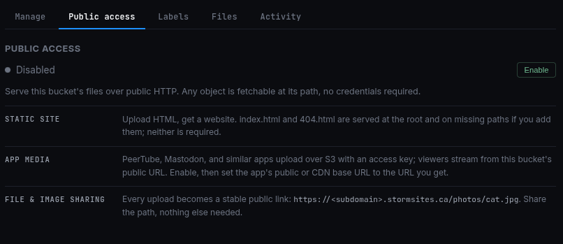 The Public access tab in its disabled state, with the Enable button and the three-jobs explainer